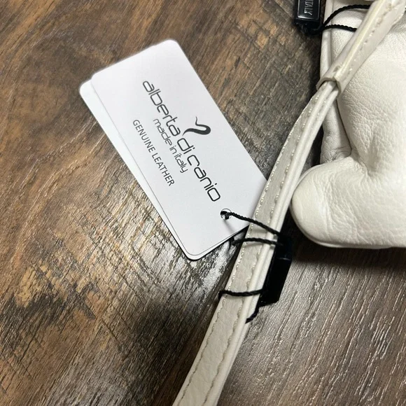 NEW alberta di canio clutch - Picture 3 of 14